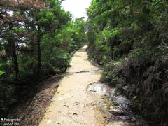 IMG_4752.jpg