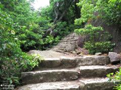 IMG_4768.jpg