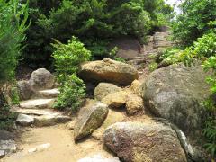 IMG_4769.jpg