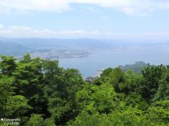 IMG_4790.jpg