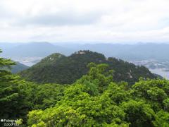 IMG_4791.jpg