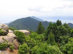 IMG_4792.jpg