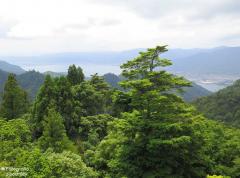 IMG_4793.jpg