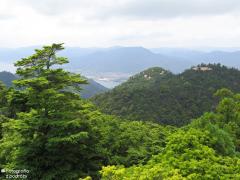 IMG_4794.jpg