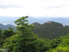 IMG_4810.jpg