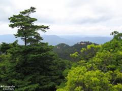 IMG_4813.jpg