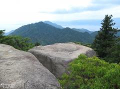 IMG_4815.jpg