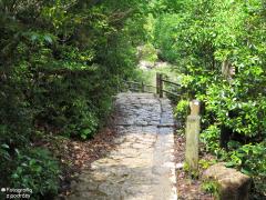 IMG_4816.jpg