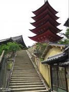 IMG_4826.jpg