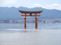 IMG_4834.jpg