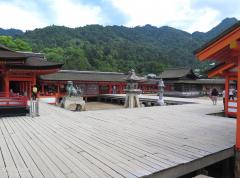 IMG_4836.jpg