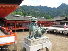 IMG_4844.jpg