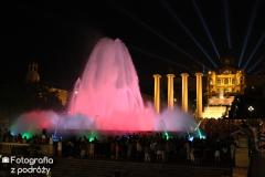 IMG_0283.jpg