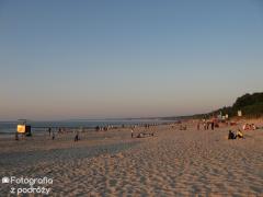 IMG_0060.jpg