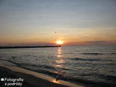IMG_0078.jpg