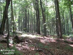 IMG_2489.jpg