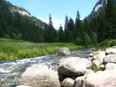 Zakopane 2011