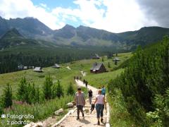 IMG_0391.jpg