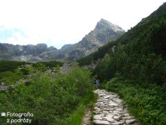 IMG_0399.jpg