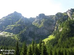 IMG_0482.jpg