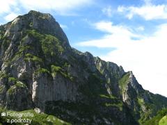 IMG_0494.jpg