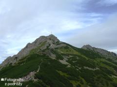 IMG_0521.jpg