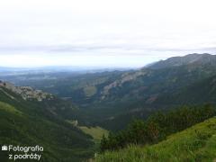 IMG_0530.jpg