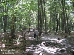 IMG_2492.jpg