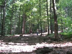 IMG_2520.jpg