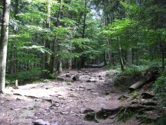 IMG_2528.jpg