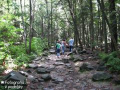 IMG_2533.jpg