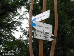 IMG_8650.jpg