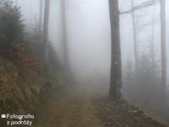 IMG_8652.jpg