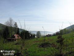 IMG_8660.jpg
