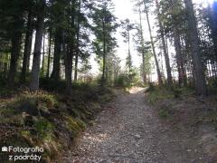 IMG_8662.jpg