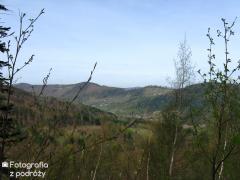 IMG_8667.jpg