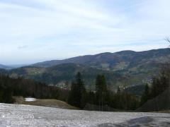 IMG_8680.jpg