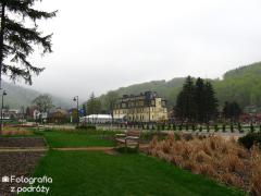IMG_8695.jpg