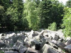 IMG_2548.jpg