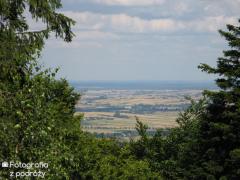 IMG_2579.jpg