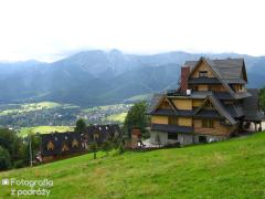 IMG_1242.jpg