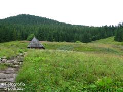 IMG_1257.jpg