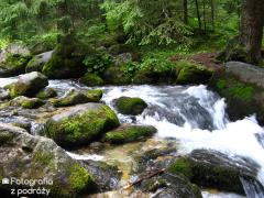 IMG_1270.jpg