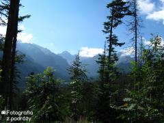 IMG_1294.jpg