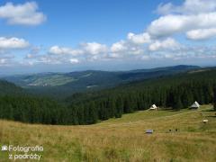 IMG_1305.jpg
