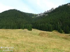 IMG_9135.jpg