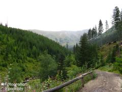 IMG_9137.jpg