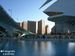 IMG_0885.jpg