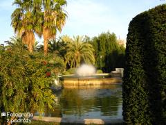 IMG_0927.jpg