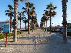 P1100036.jpg